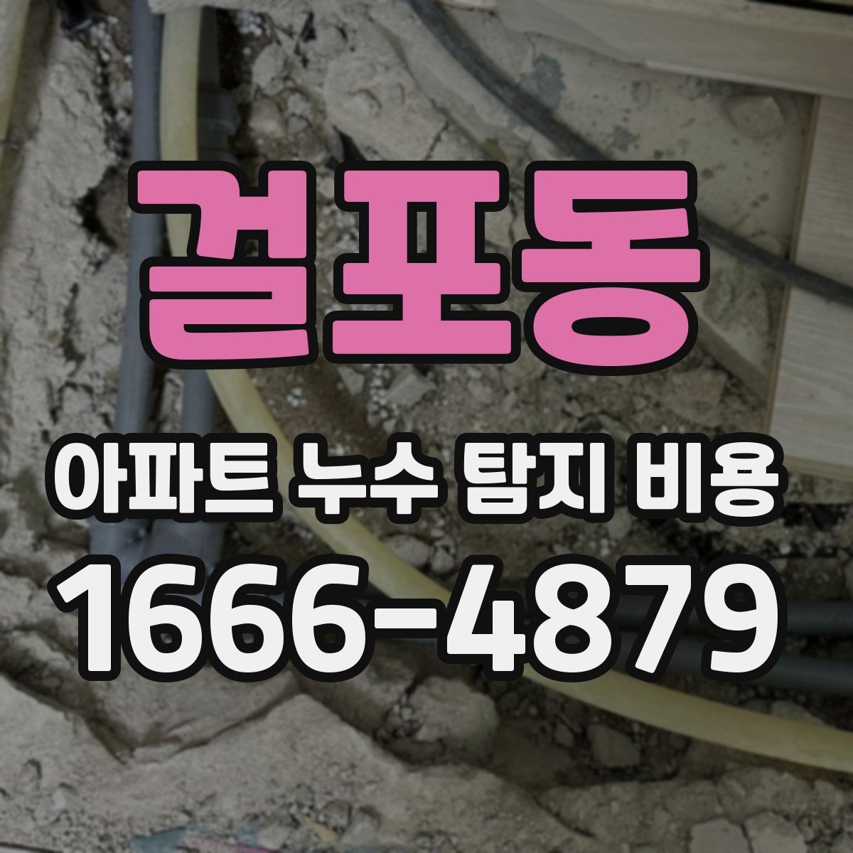걸포동 아파트 누수 탐지 비용