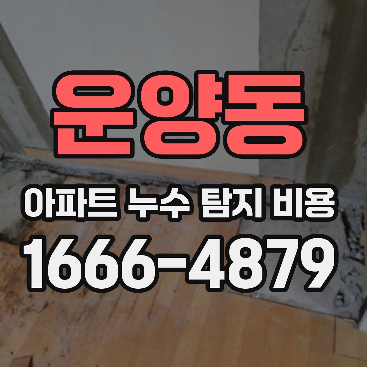 운양동 아파트 누수 탐지 비용
