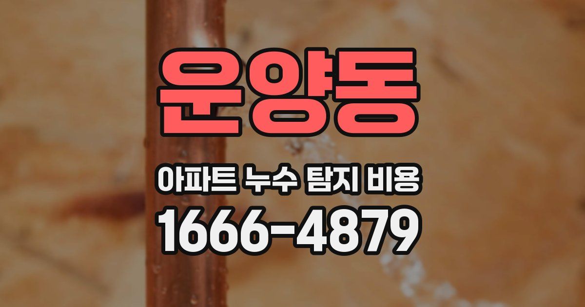 운양동 아파트 누수 탐지 비용