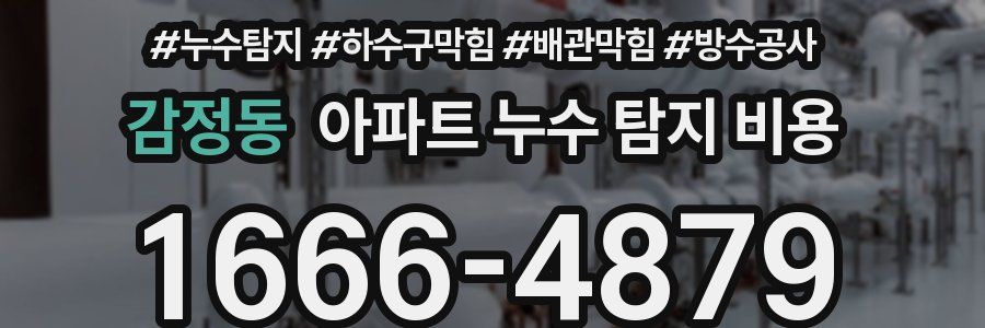 감정동 아파트 누수 탐지 비용
