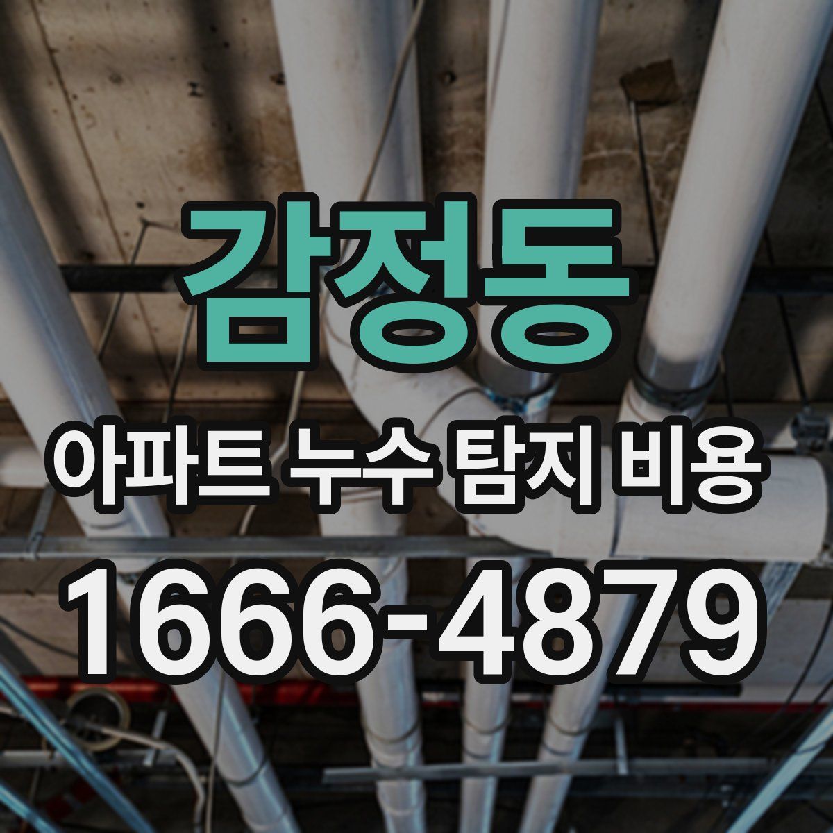 감정동 아파트 누수 탐지 비용