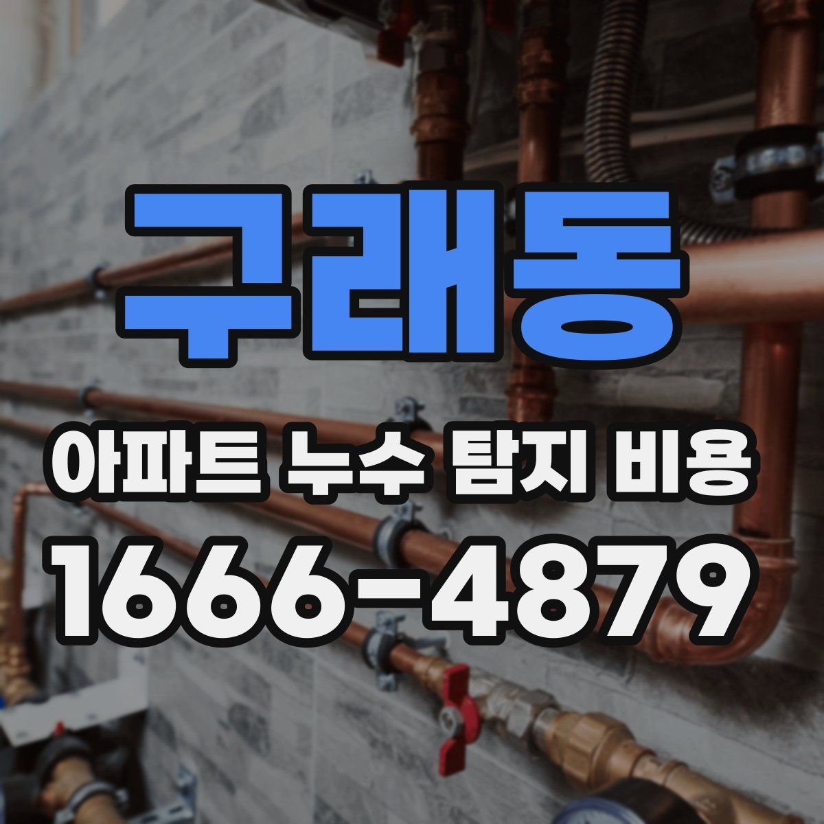 구래동 아파트 누수 탐지 비용