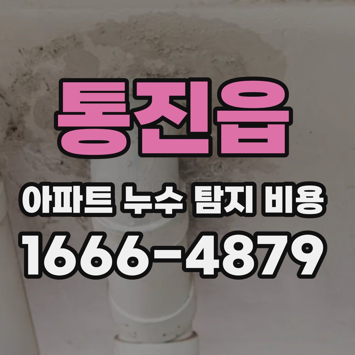 통진읍 아파트 누수 탐지 비용