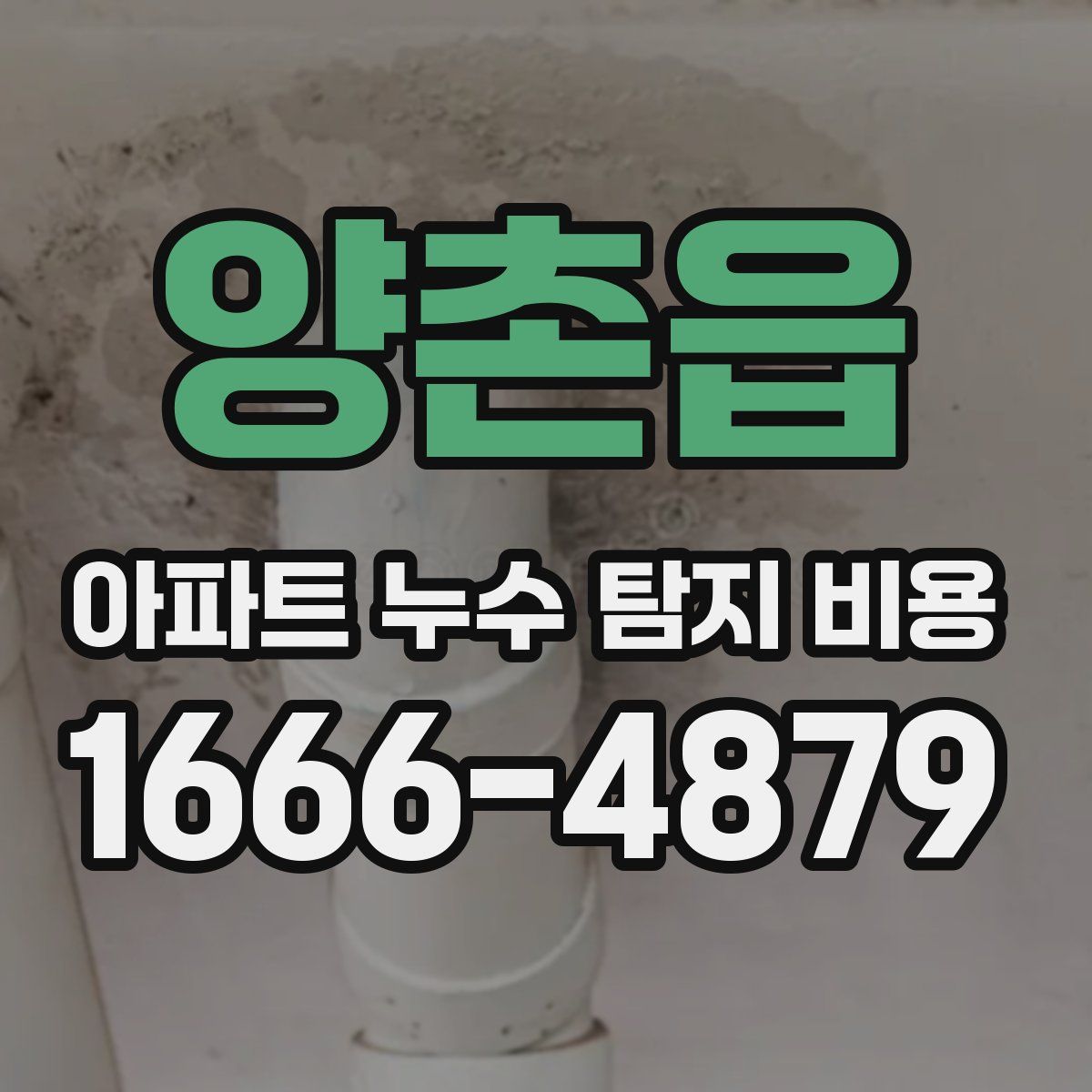 양촌읍 아파트 누수 탐지 비용