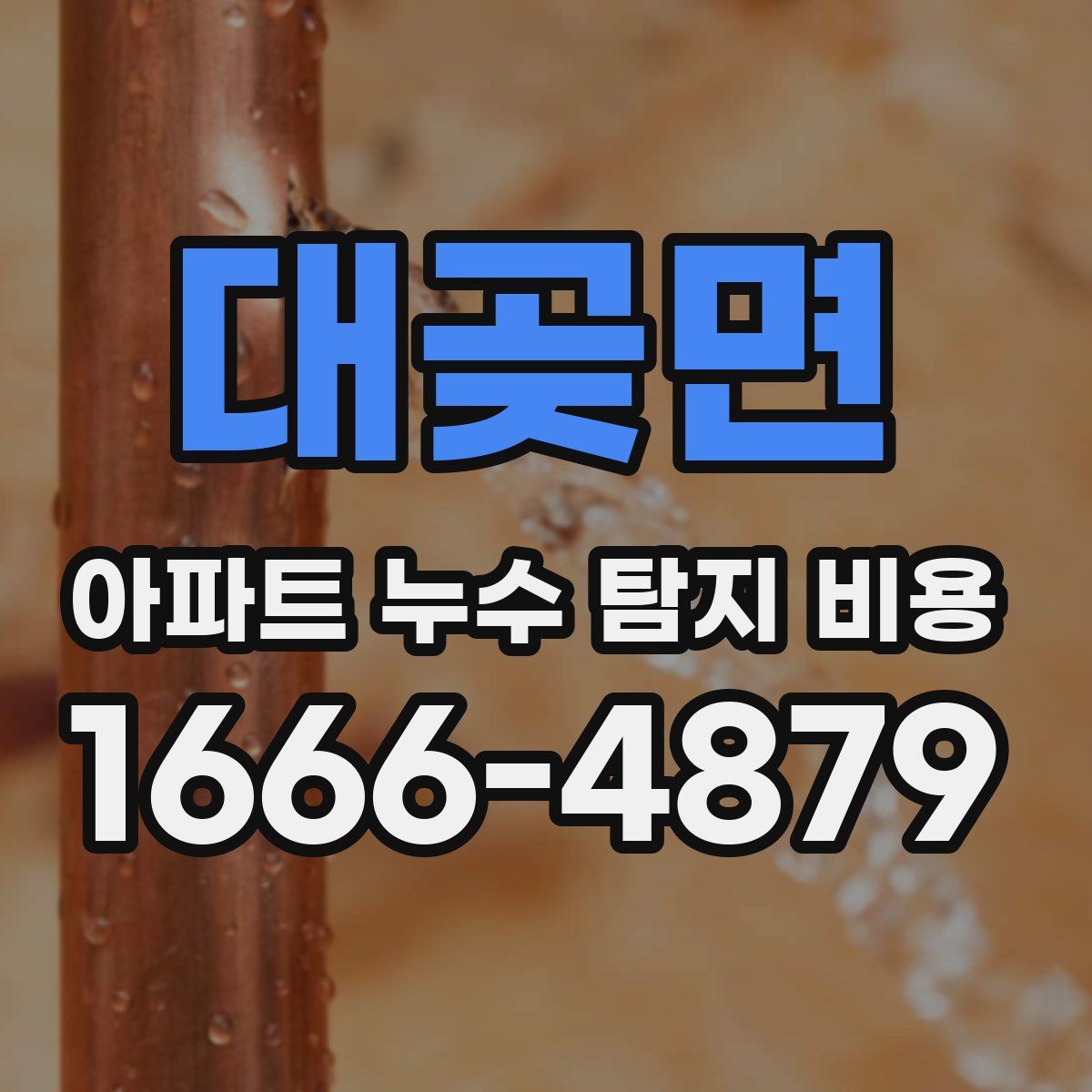 대곶면 아파트 누수 탐지 비용