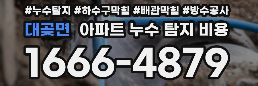 대곶면 아파트 누수 탐지 비용