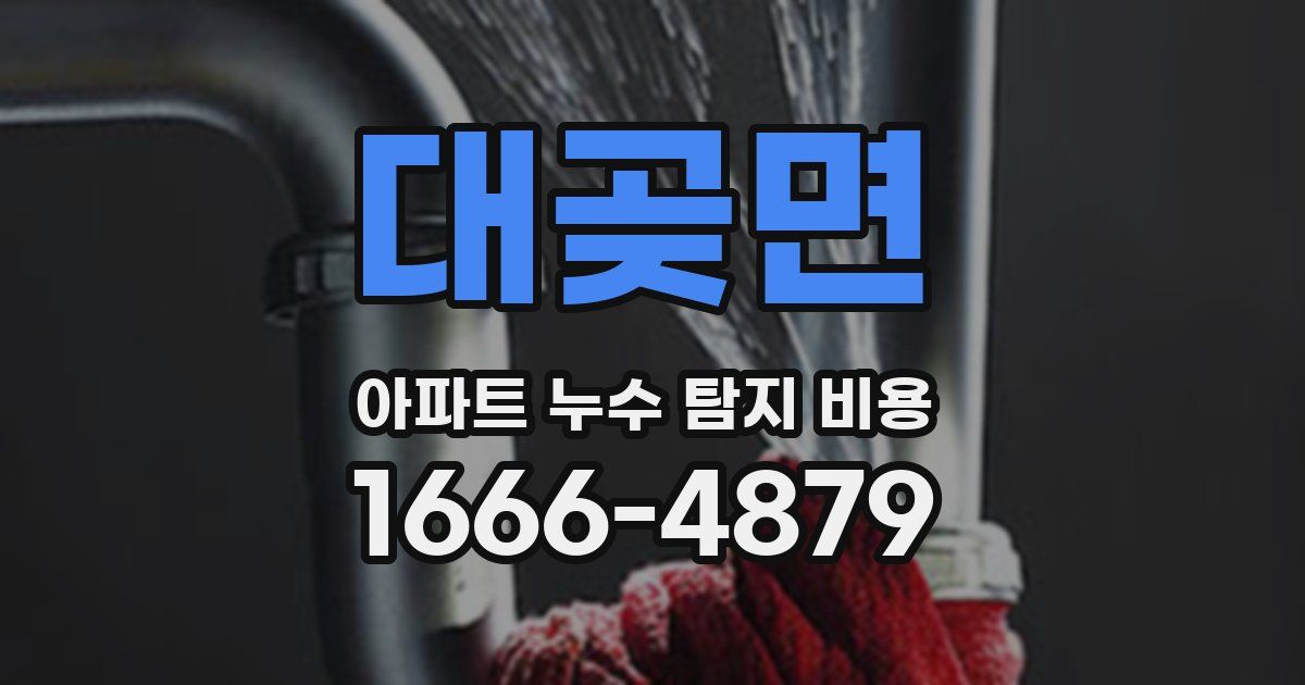 대곶면 아파트 누수 탐지 비용