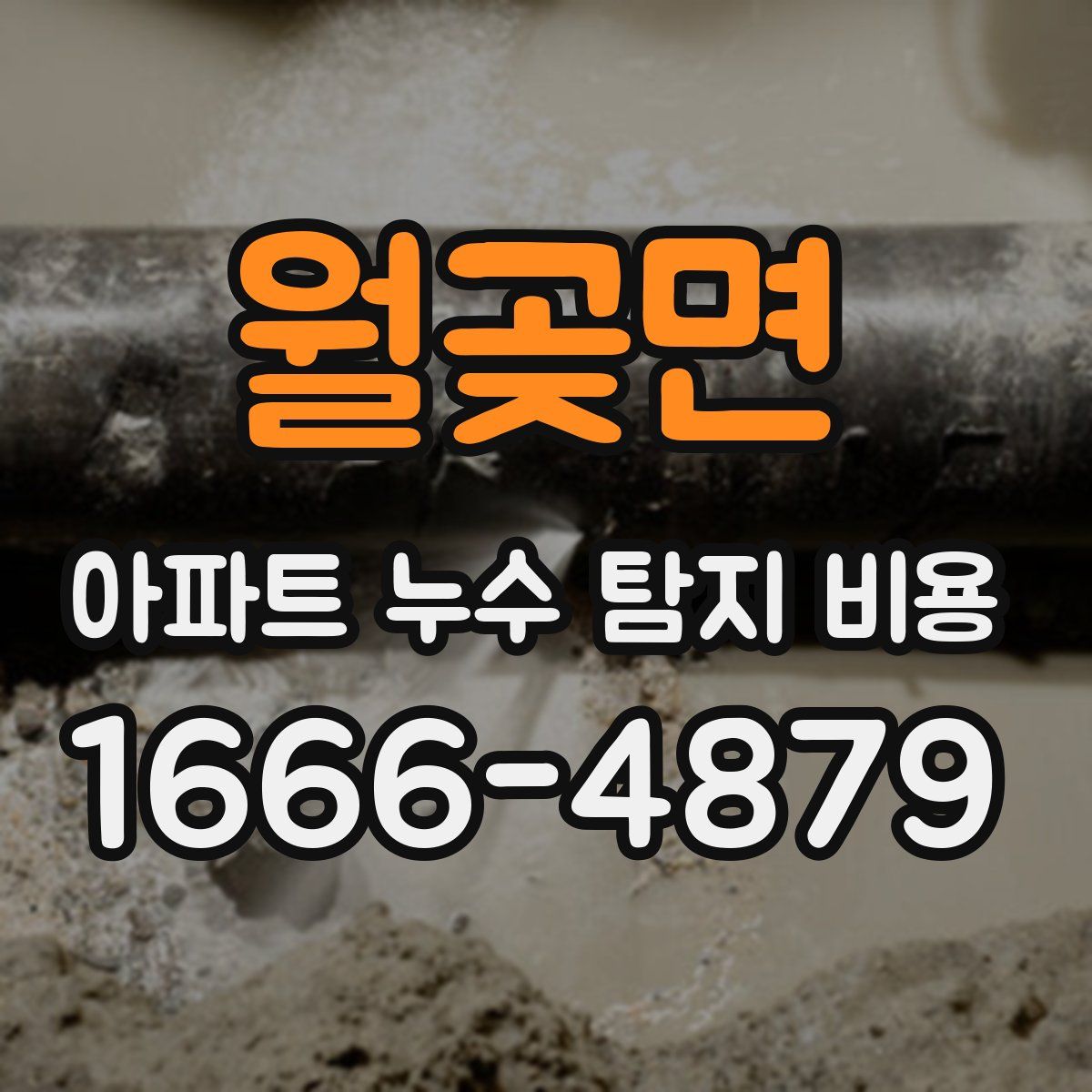 월곶면 아파트 누수 탐지 비용