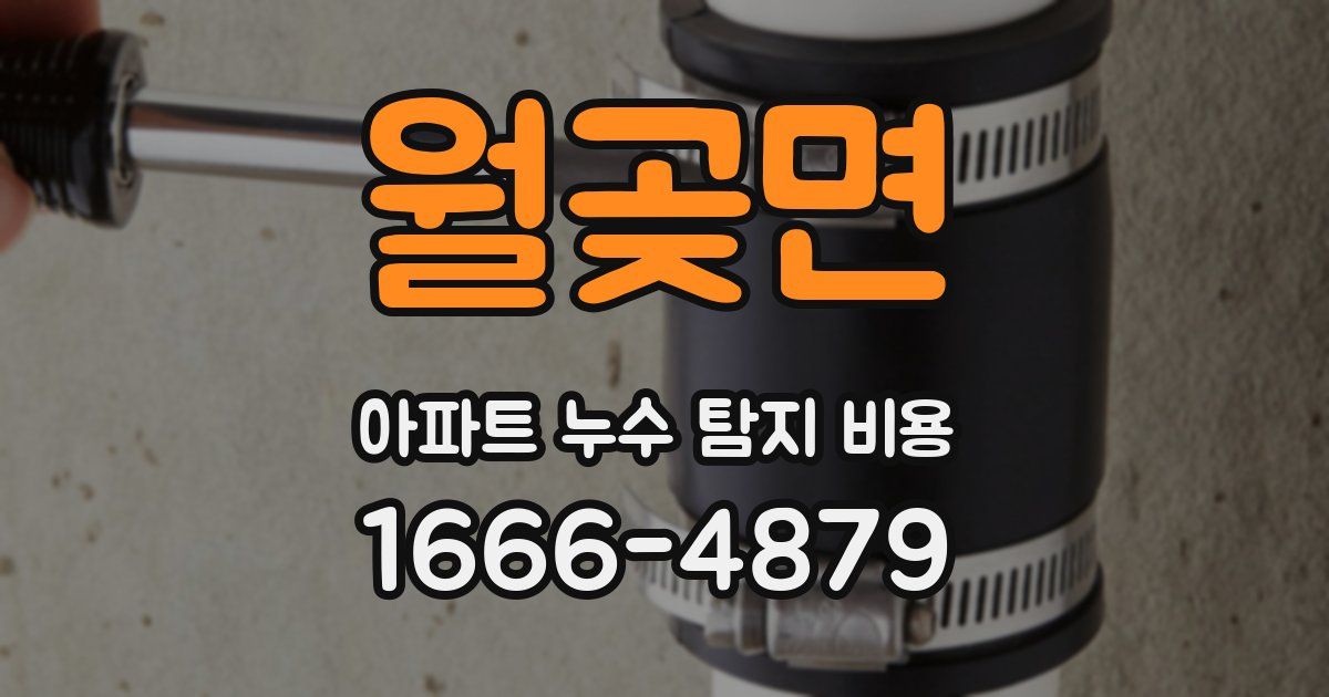 월곶면 아파트 누수 탐지 비용