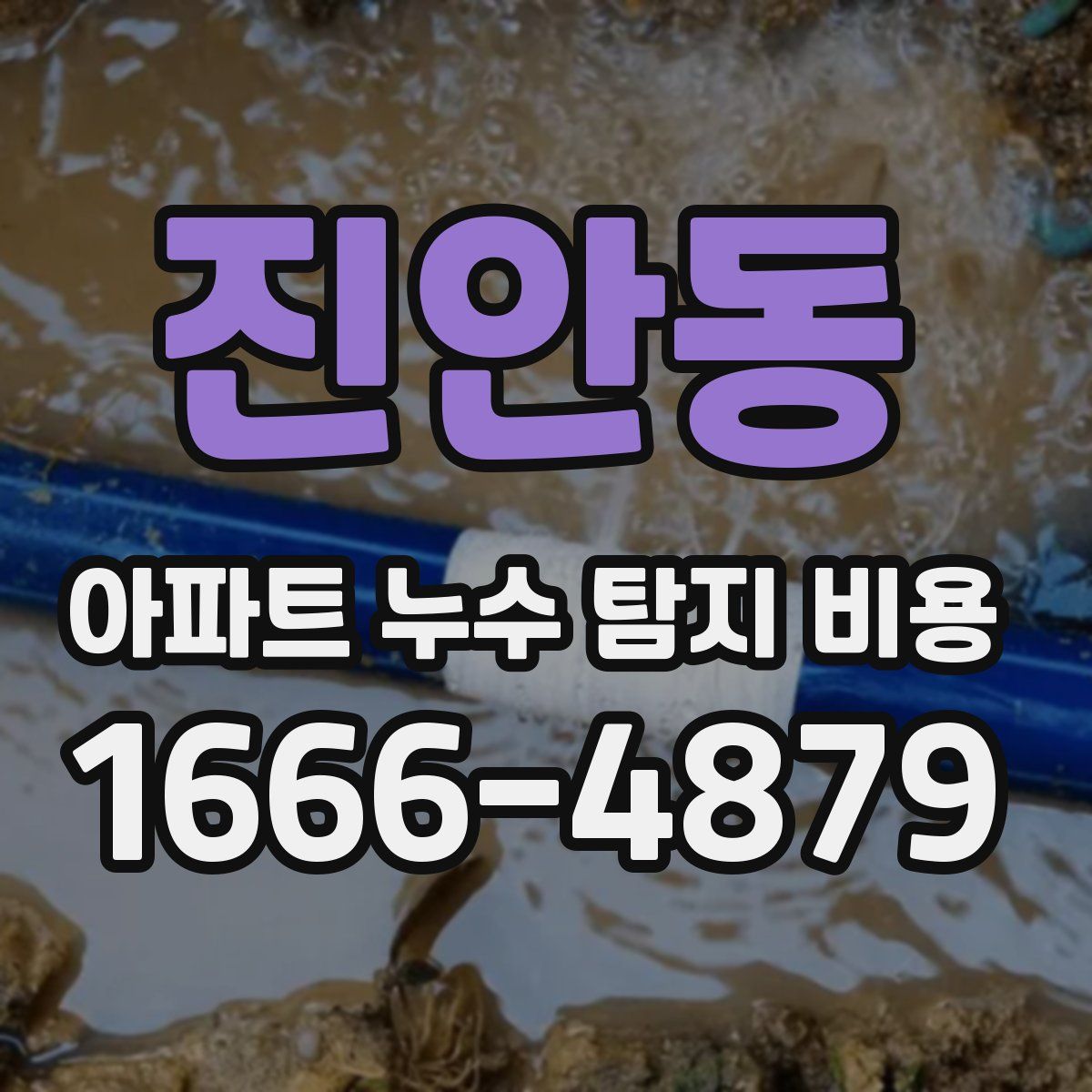진안동 아파트 누수 탐지 비용