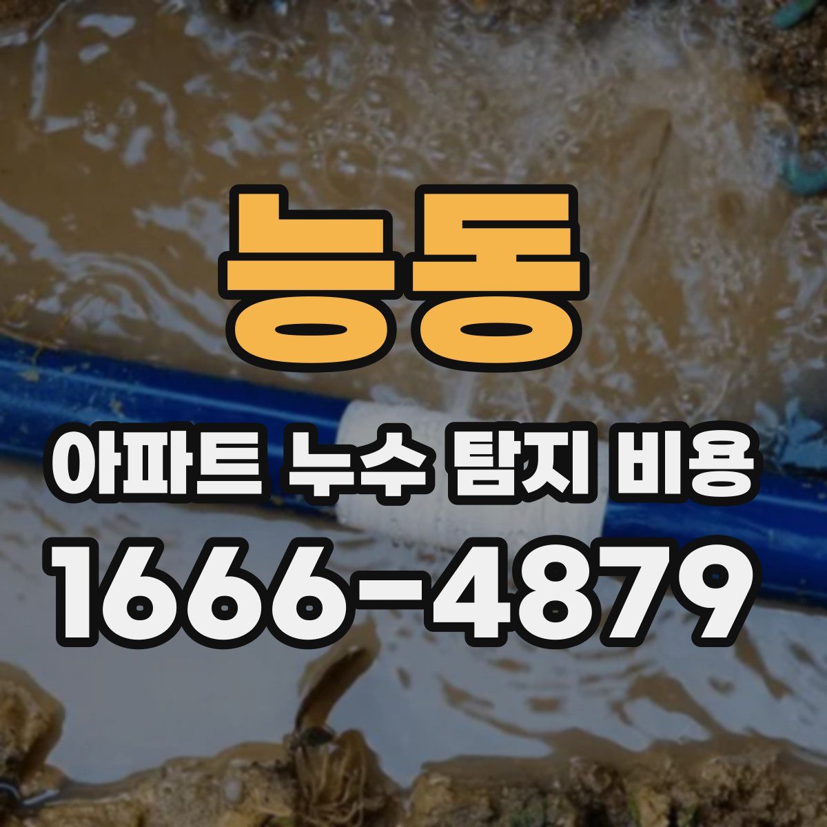 능동 아파트 누수 탐지 비용