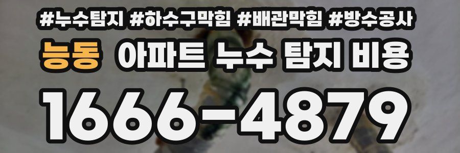 능동 아파트 누수 탐지 비용