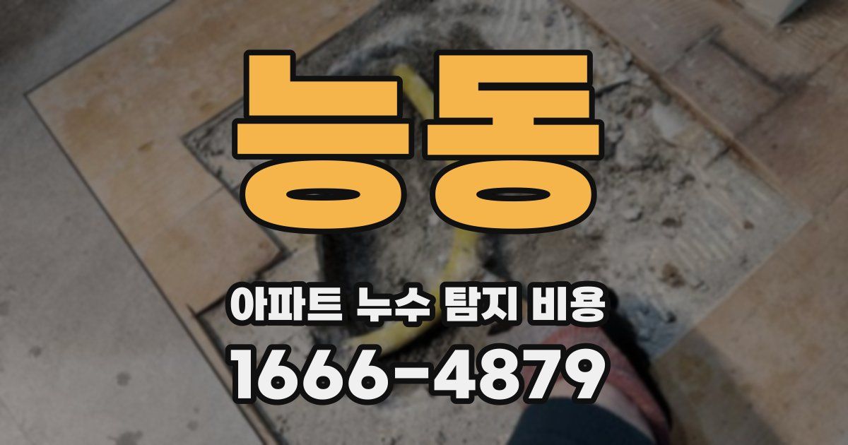 능동 아파트 누수 탐지 비용