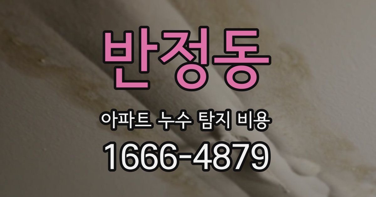반정동 아파트 누수 탐지 비용