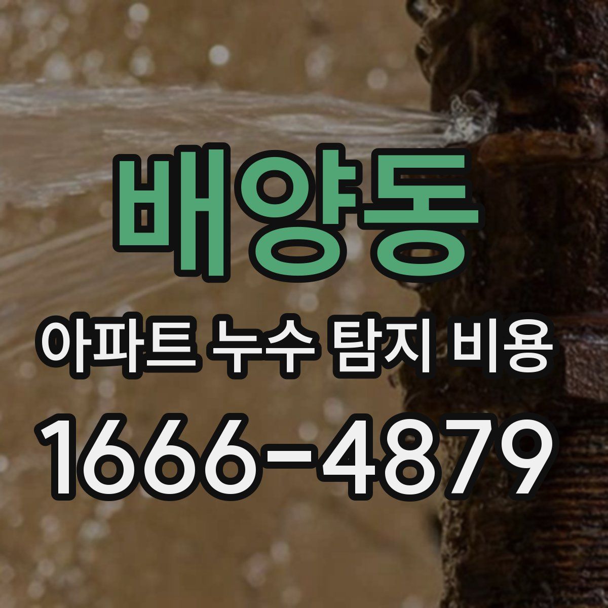 배양동 아파트 누수 탐지 비용