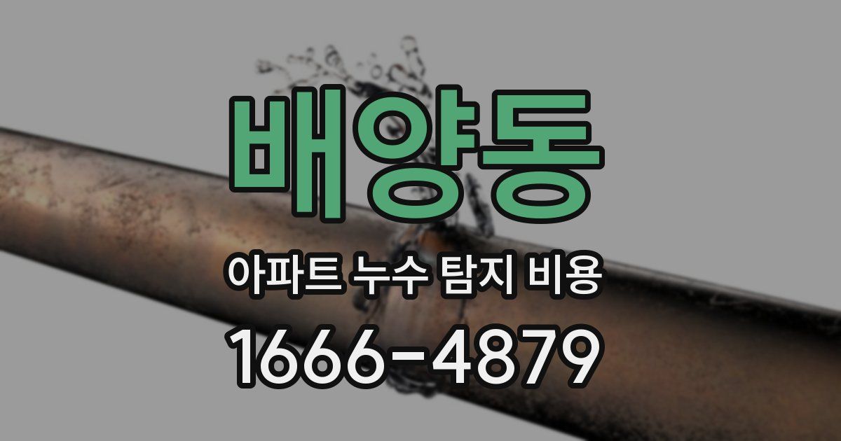 배양동 아파트 누수 탐지 비용