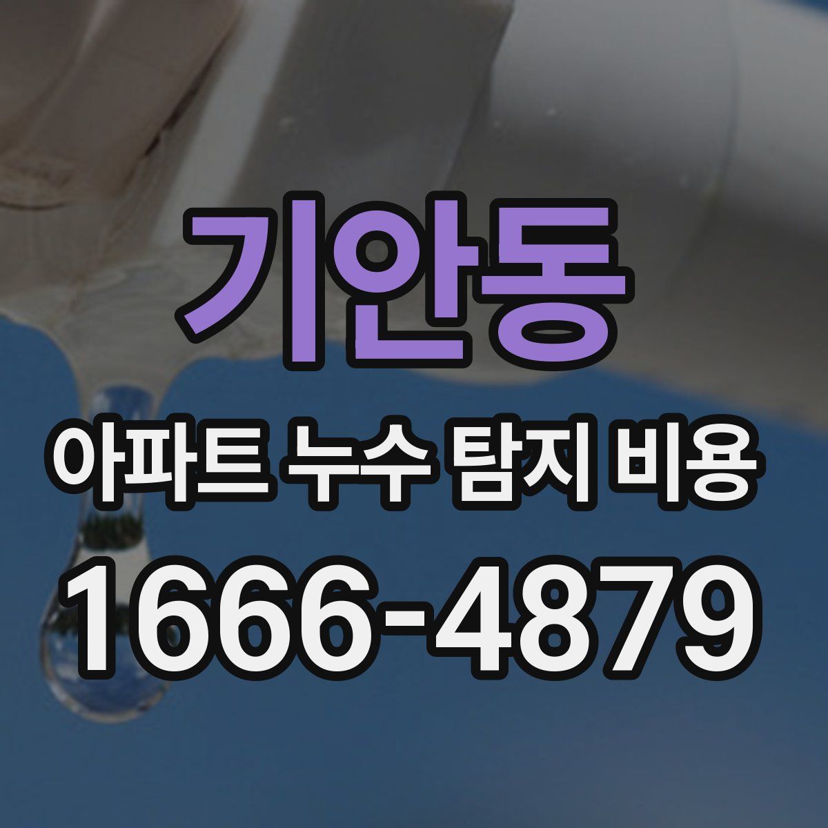 기안동 아파트 누수 탐지 비용