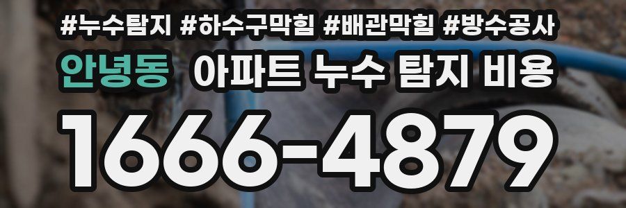 안녕동 아파트 누수 탐지 비용