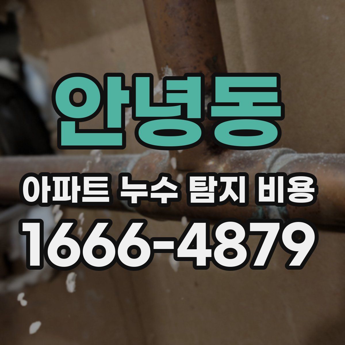 안녕동 아파트 누수 탐지 비용