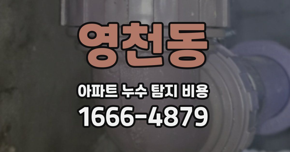 영천동 아파트 누수 탐지 비용