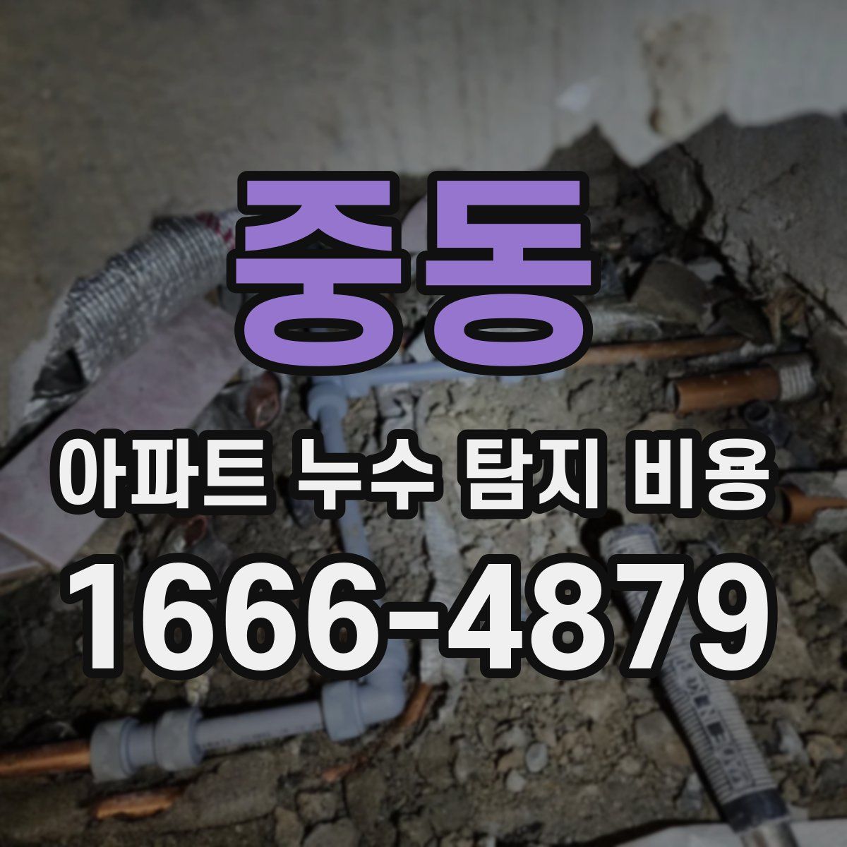 중동 아파트 누수 탐지 비용