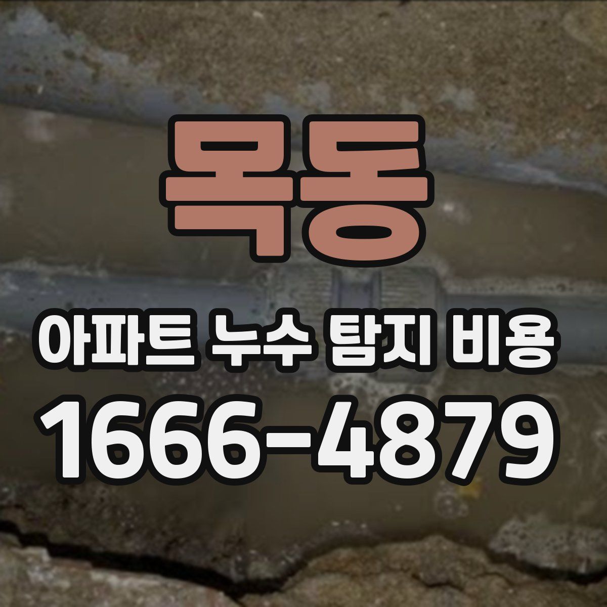 목동 아파트 누수 탐지 비용