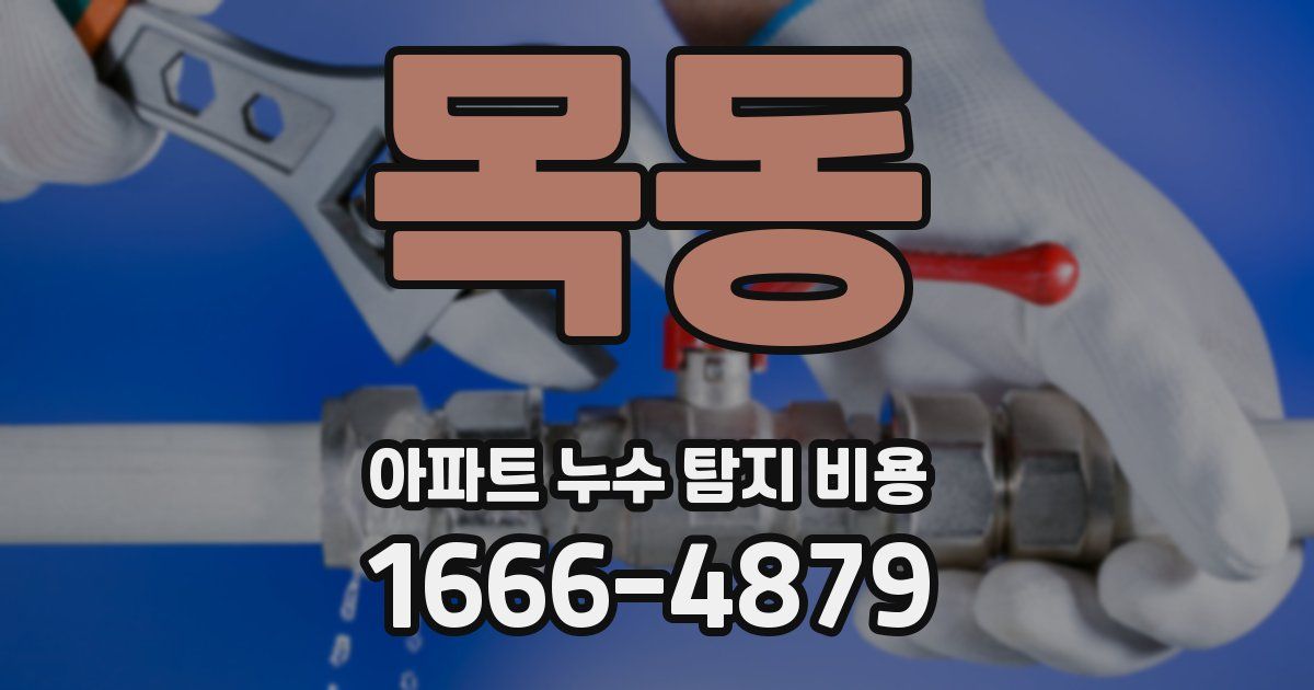 목동 아파트 누수 탐지 비용