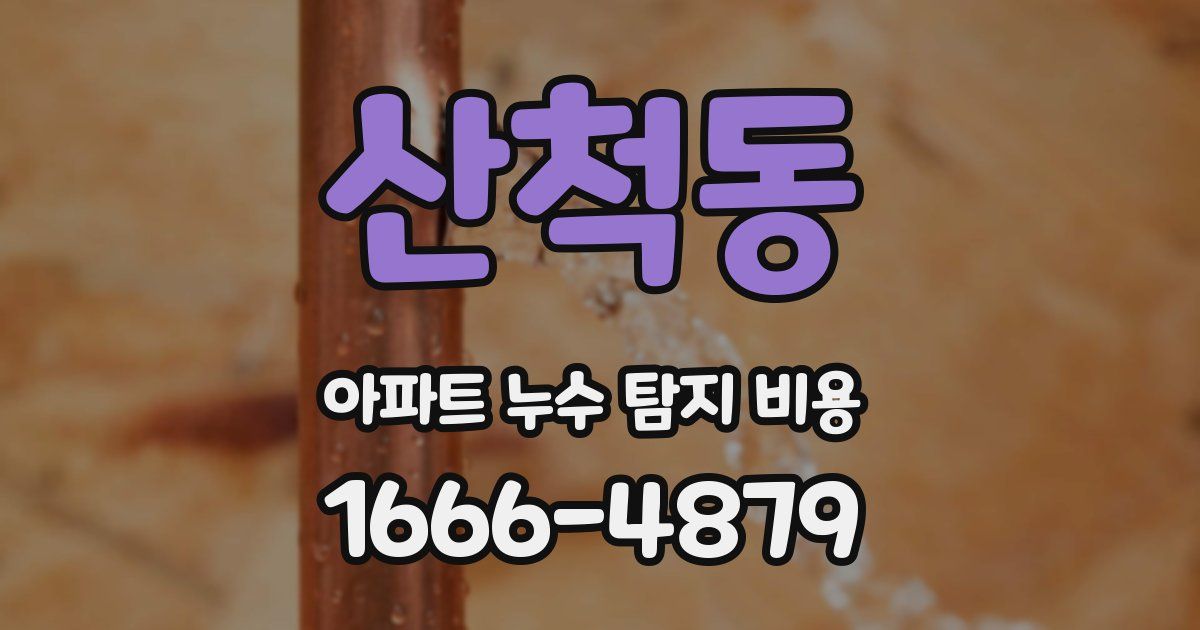 산척동 아파트 누수 탐지 비용
