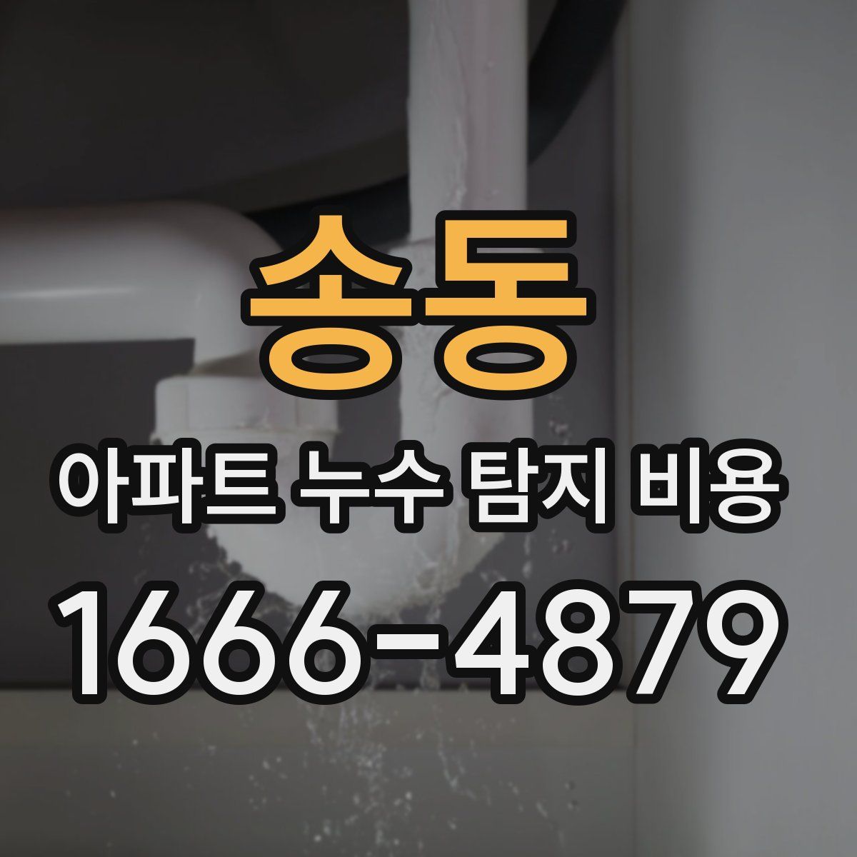 송동 아파트 누수 탐지 비용