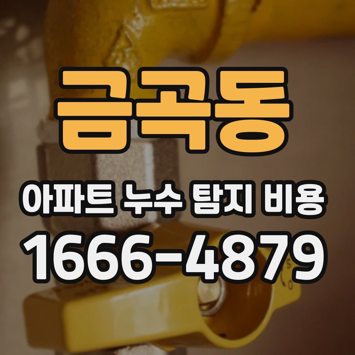 금곡동 아파트 누수 탐지 비용