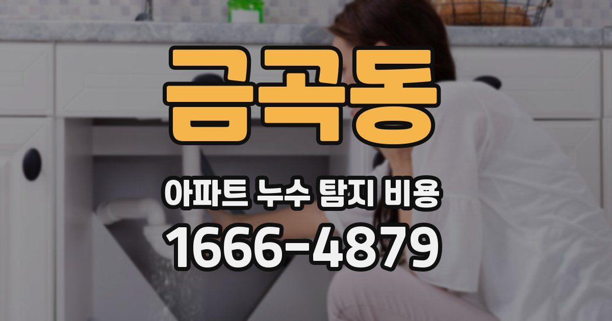 금곡동 아파트 누수 탐지 비용