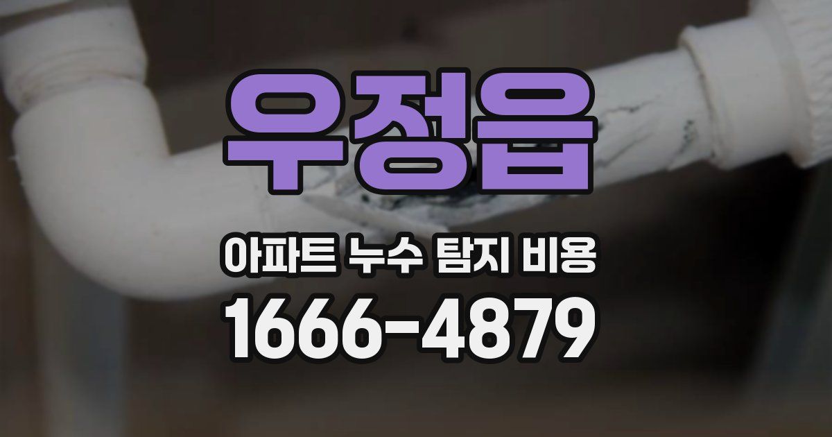 우정읍 아파트 누수 탐지 비용