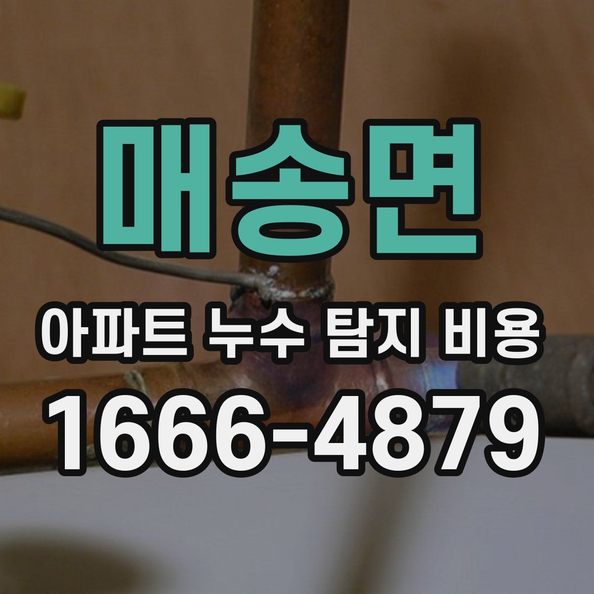 매송면 아파트 누수 탐지 비용