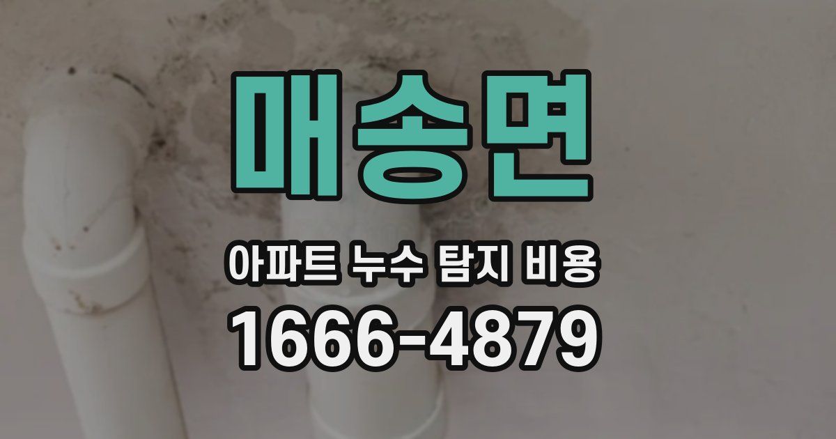 매송면 아파트 누수 탐지 비용