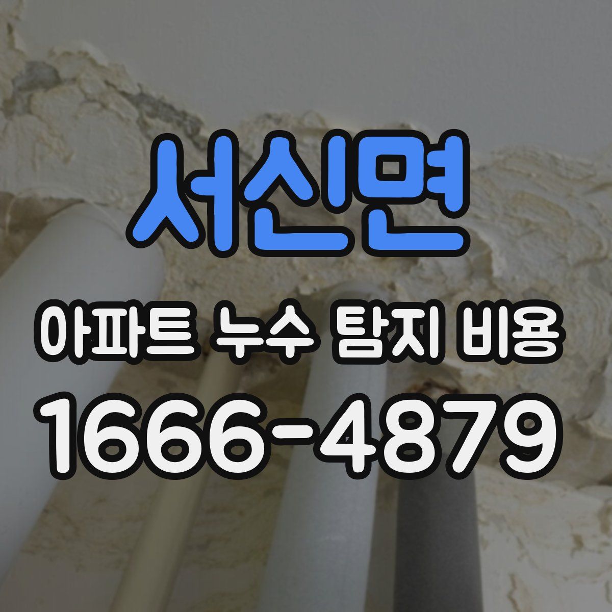 서신면 아파트 누수 탐지 비용