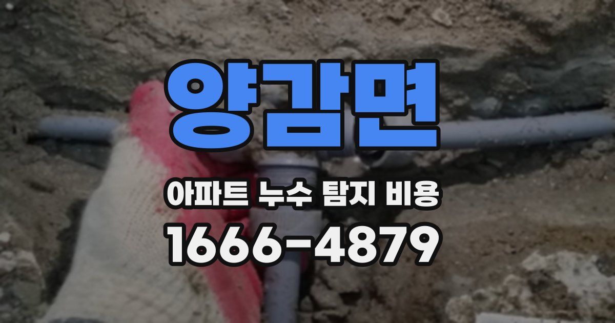 양감면 아파트 누수 탐지 비용