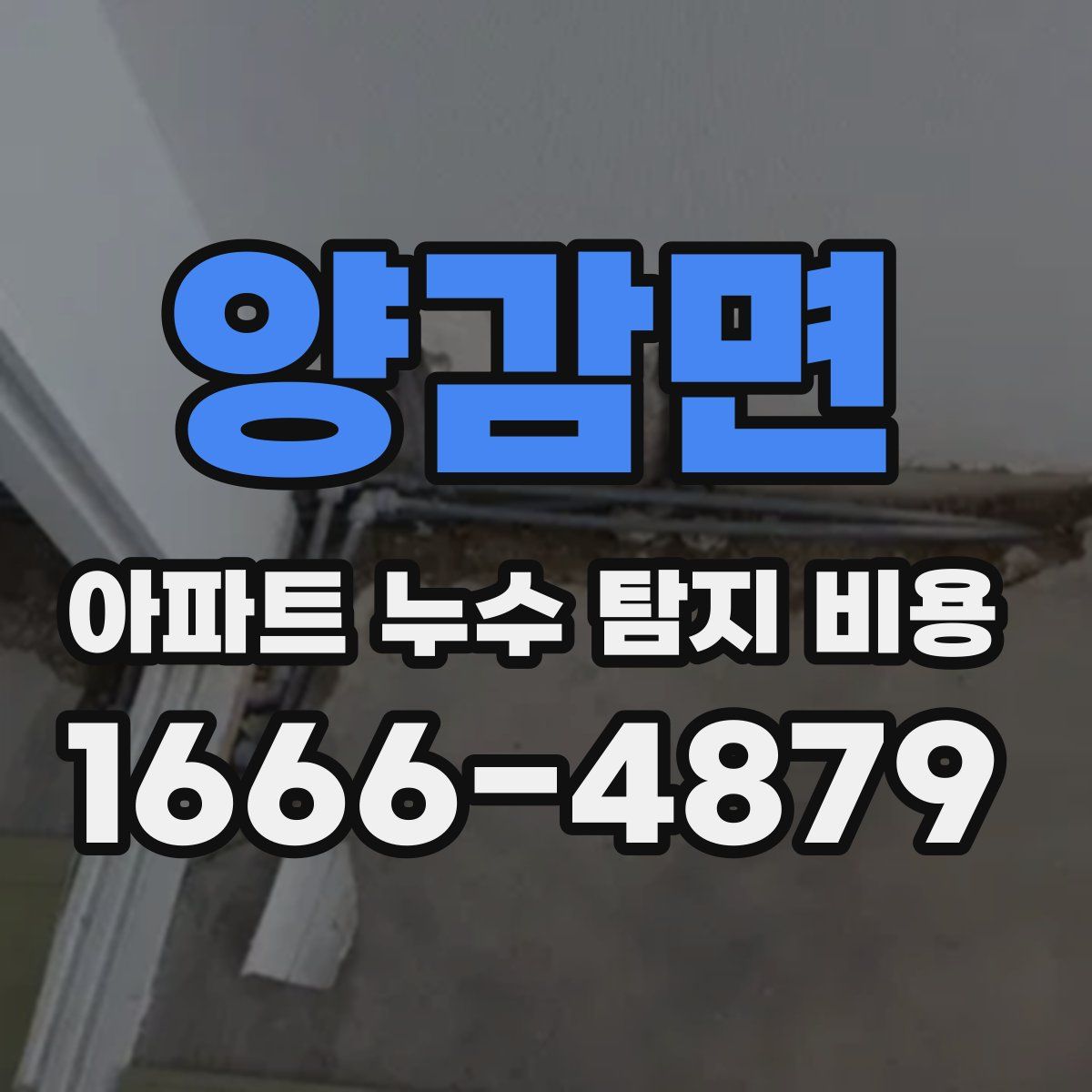 양감면 아파트 누수 탐지 비용