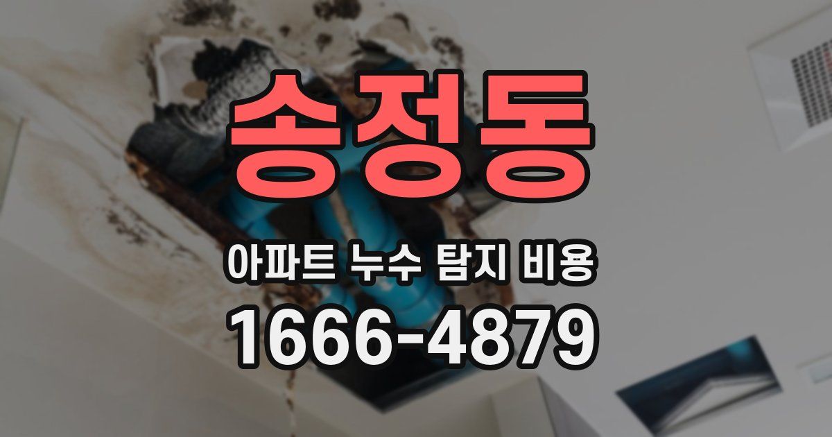 송정동 아파트 누수 탐지 비용