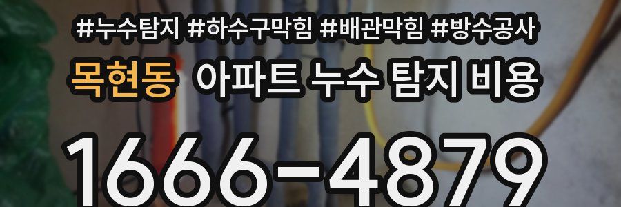 목현동 아파트 누수 탐지 비용