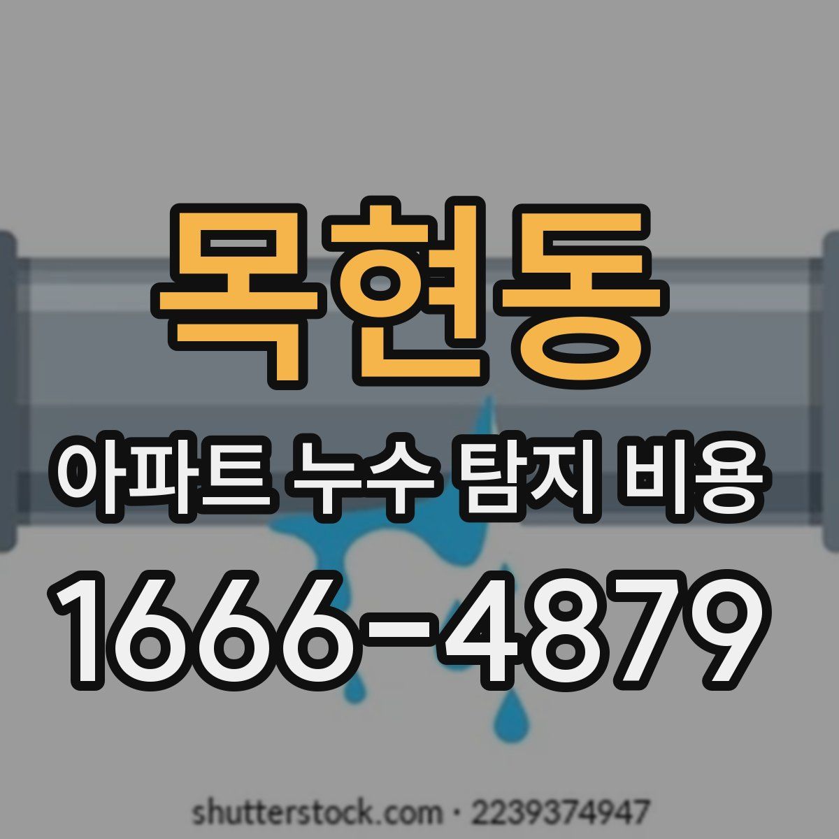 목현동 아파트 누수 탐지 비용