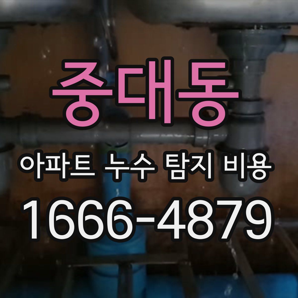중대동 아파트 누수 탐지 비용