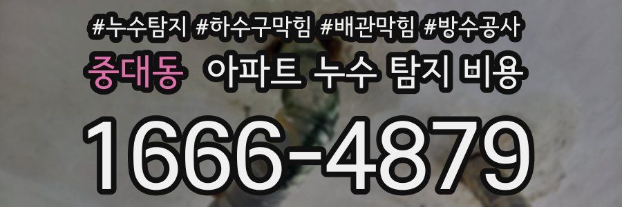 중대동 아파트 누수 탐지 비용