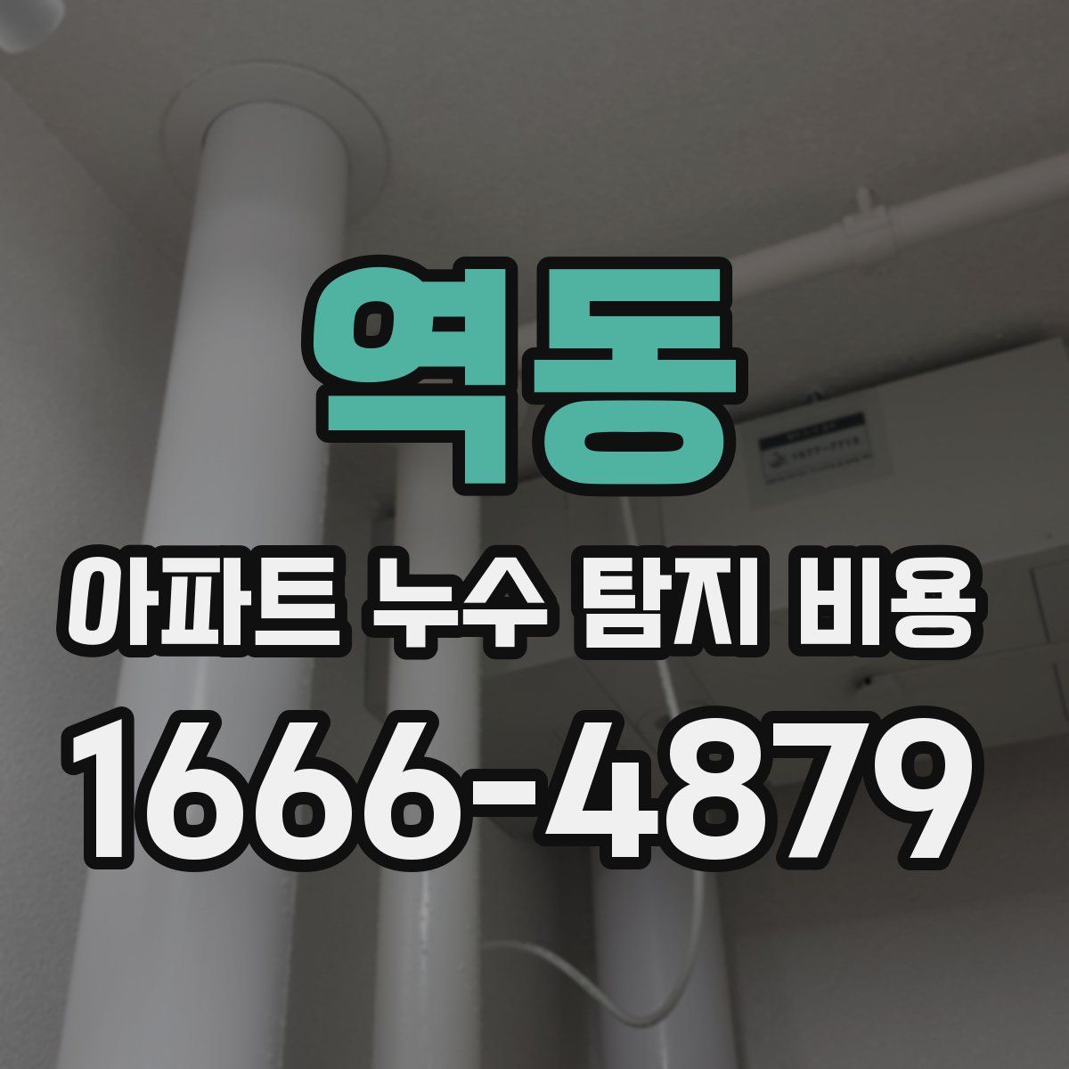 역동 아파트 누수 탐지 비용