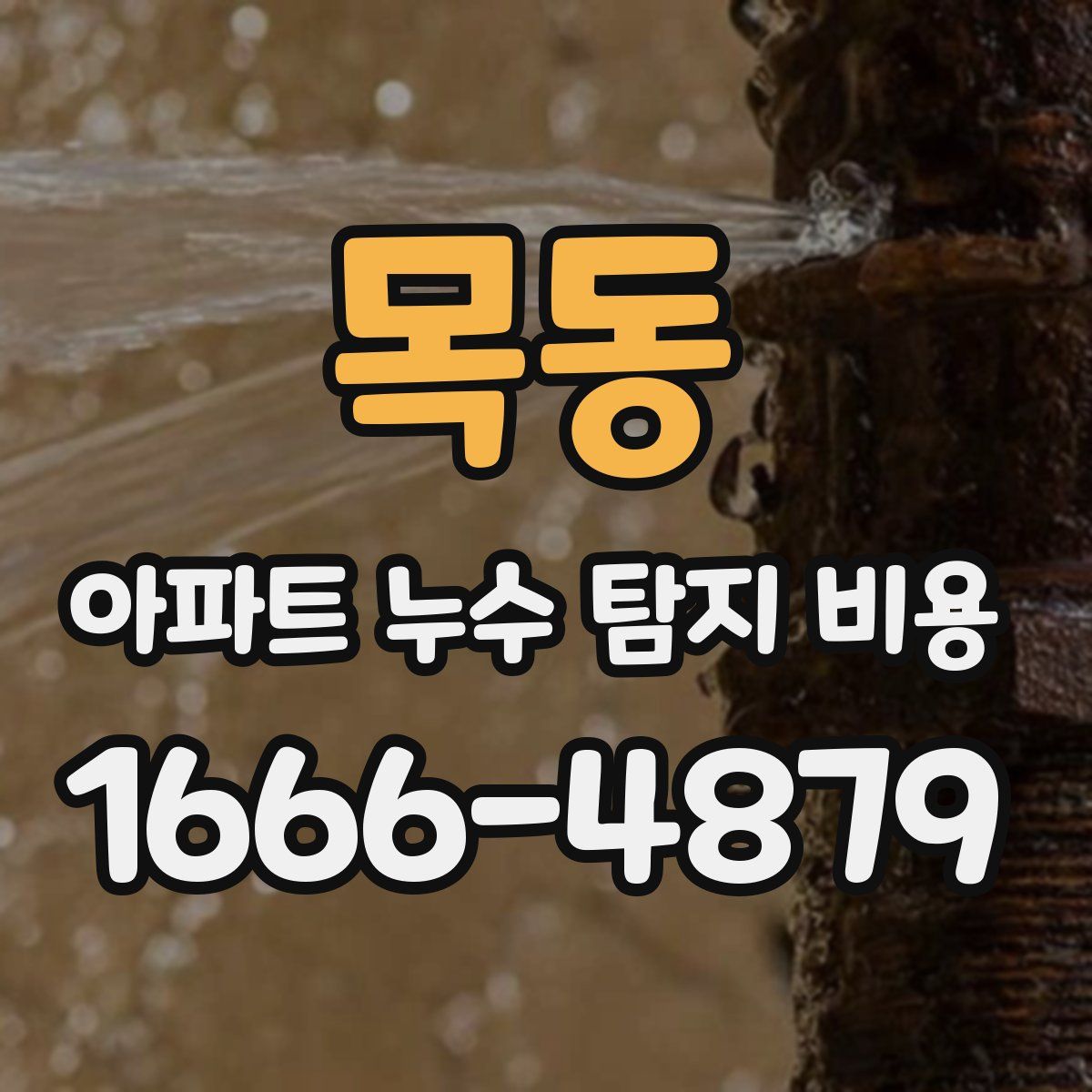 목동 아파트 누수 탐지 비용