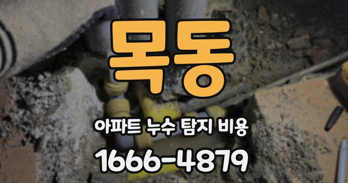 목동 아파트 누수 탐지 비용
