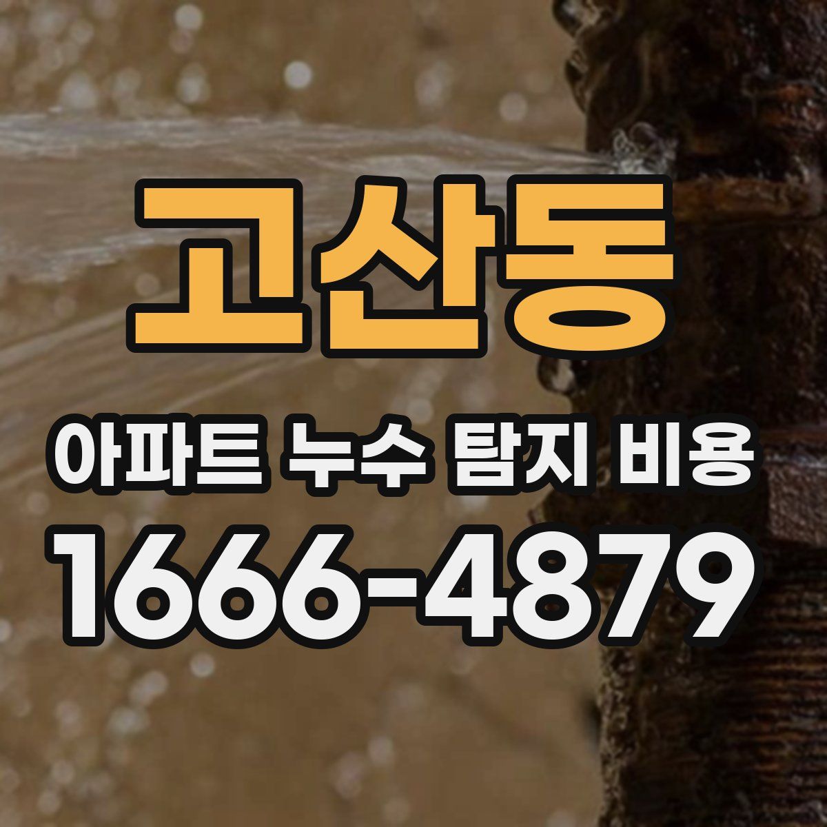 고산동 아파트 누수 탐지 비용