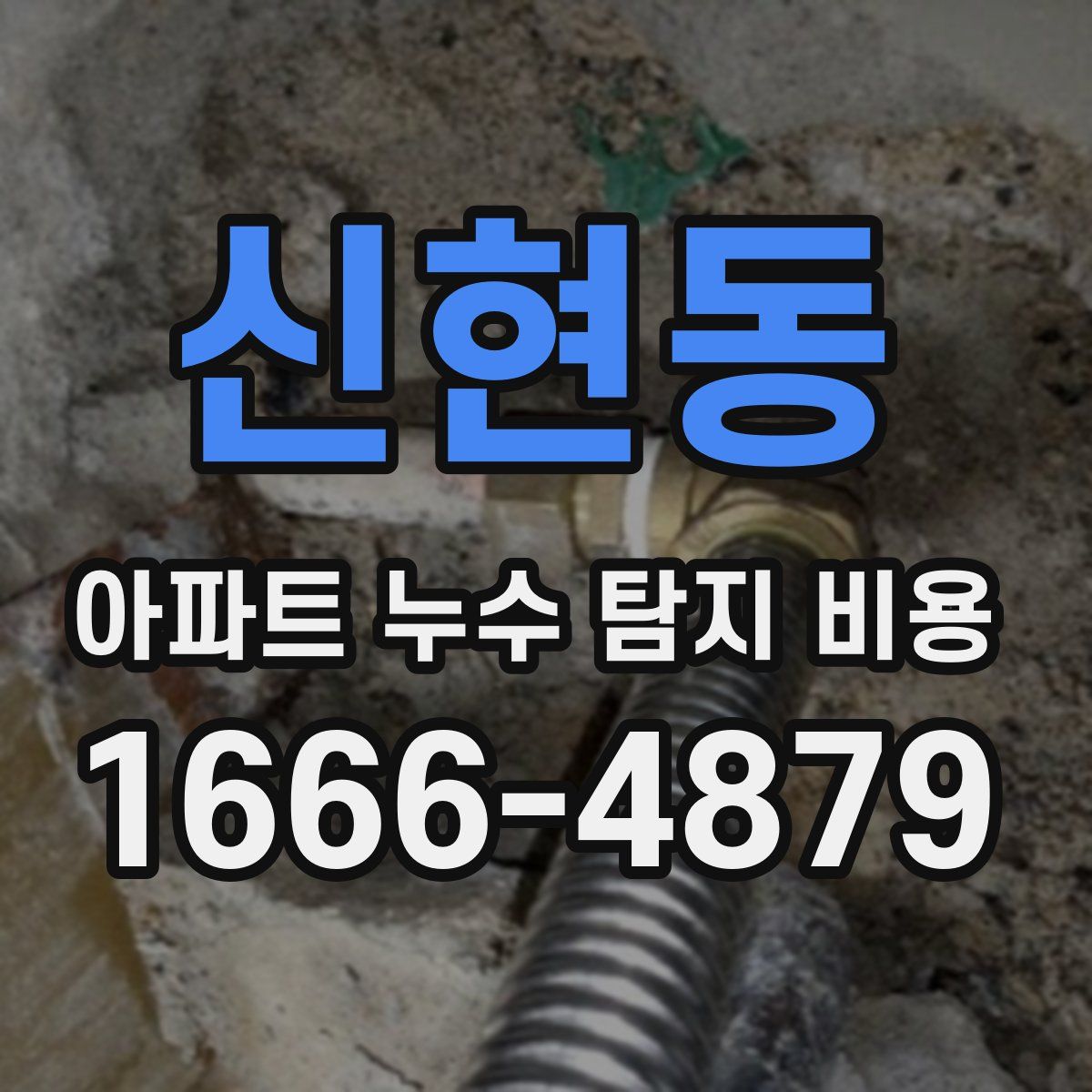 신현동 아파트 누수 탐지 비용