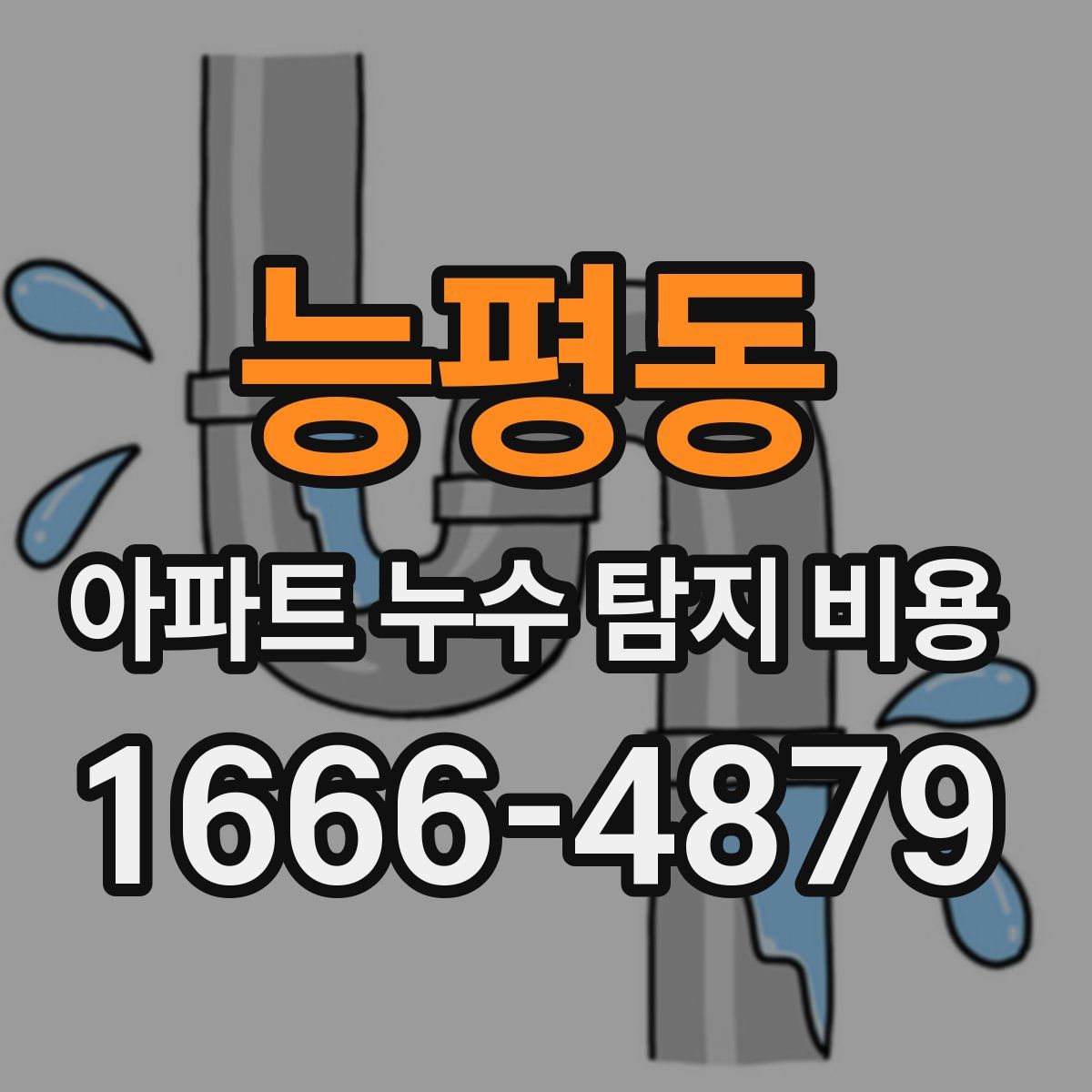 능평동 아파트 누수 탐지 비용