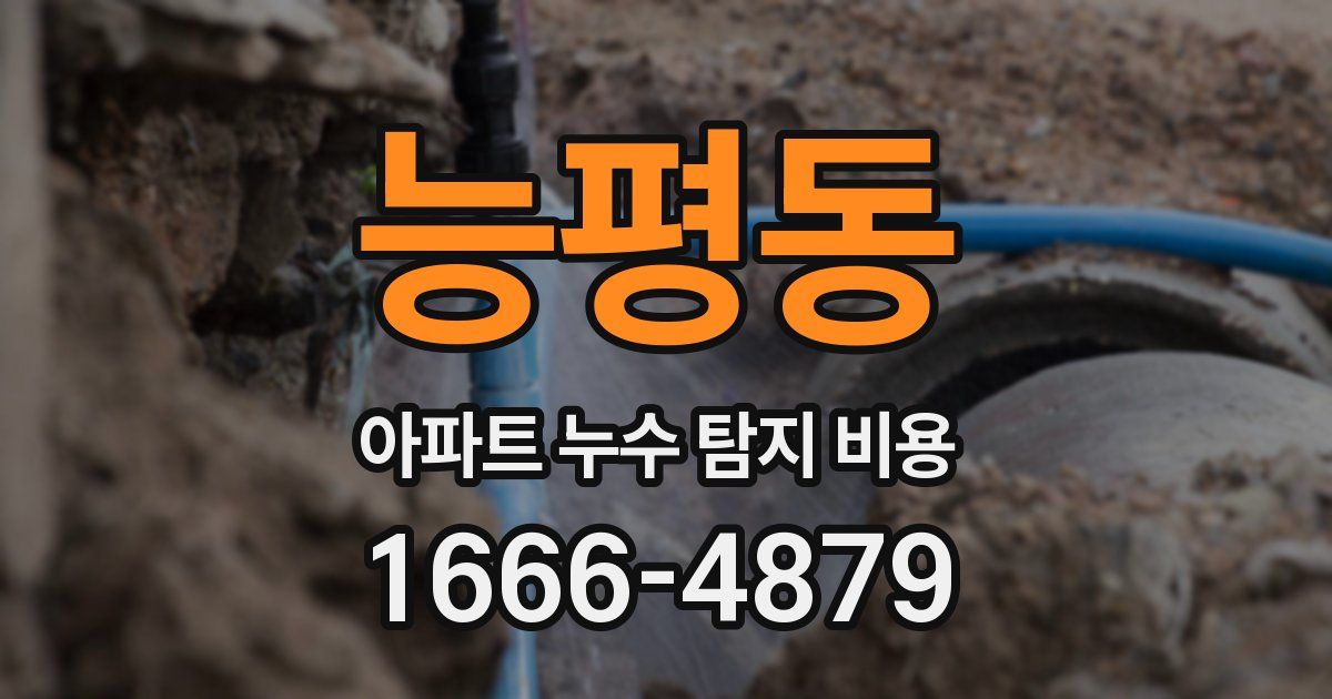 능평동 아파트 누수 탐지 비용
