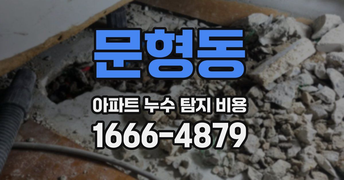 문형동 아파트 누수 탐지 비용